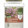 Pokon Terras & Balkon Planten Voedingskegels