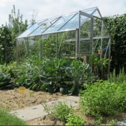 Halls Greenhouses Tuinkas Popular 86 - Blank -Boom Ziel Verkoop popular 86 blank royal well 8718215760023 3 tuinland