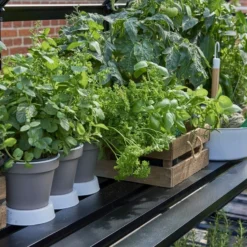 Halls Greenhouses Tafel Qube 66 -Geïntegreerd Zwart Gecoat 5 Halls Greenhouses Tafel Qube 66 -Geïntegreerd Zwart Gecoat -Boom Ziel Verkoop qub tafel 2 8719214381721 tuinland