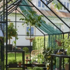Halls Greenhouses Tuinkas Qube 128 - Zwart Gecoat -Boom Ziel Verkoop qube 128 5 8719214382254 tuinland