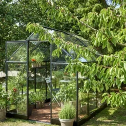 Halls Greenhouses Tuinkas Qube 86 - Zwart Gecoat -Boom Ziel Verkoop qube 86 4 8719214381677 tuinland