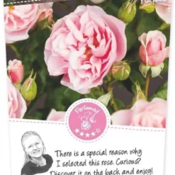 Trosroos 'Natasha Richardson'®