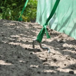 Anker Set -Boom Ziel Verkoop royal well ankerset 4 8718226338327 tuinland