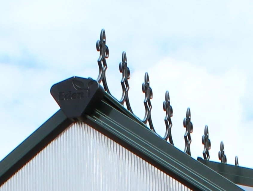 Victoriaanse Nok Birdlip 64 & Burford 66 - Zwart 1 Victoriaanse Nok Birdlip 64 & Burford 66 - Zwart